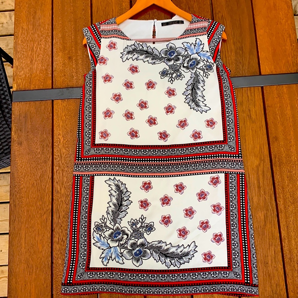 Zara Trafaluc Dress